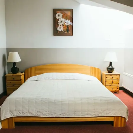 ホテル Kuldigas Metropole 3*